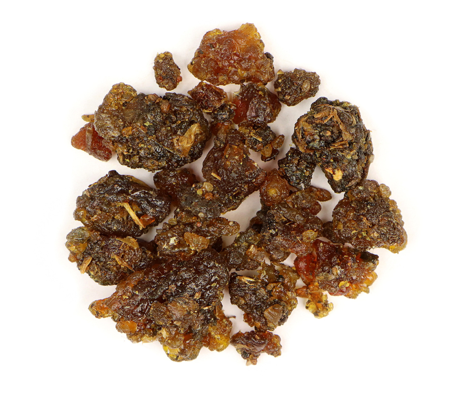 GAYATRI PHARMACEUTICALS – Manufacturer, Exporter & Supplier of ...